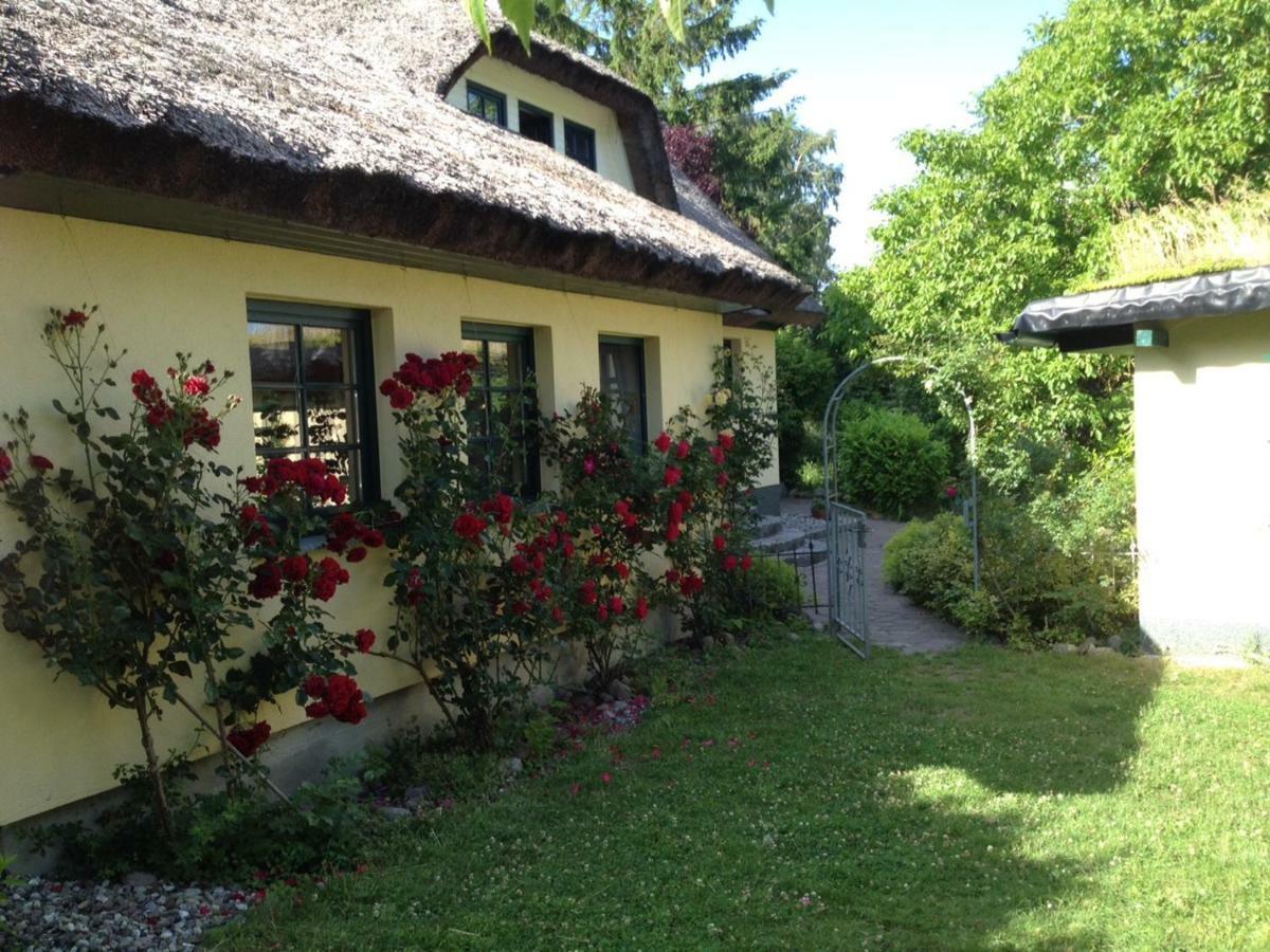 Urlaub Unter Reet Appartement Bergen Auf Rugen Buitenkant foto